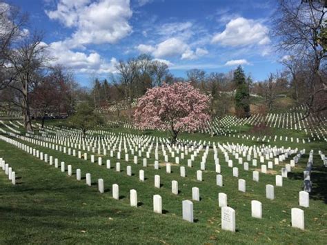 3 Airports Near Arlington National Cemetery