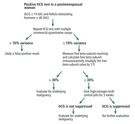 5 Causes Of Elevated Hcg In Usmle