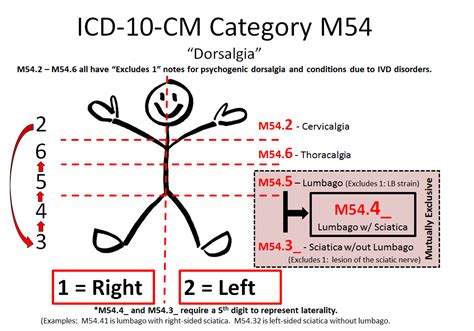 5 Causes Of Pain In Buttocks: Icd 10 Codes Revealed