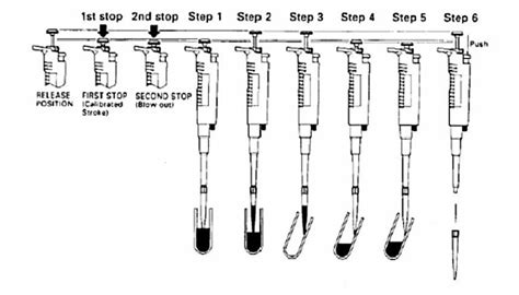 5 Easy Steps To Read A Micropipette