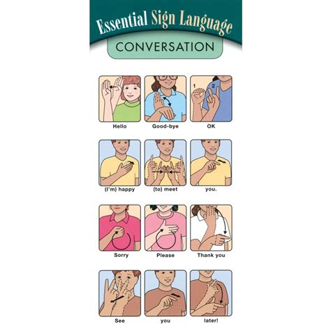 5 Essential Asl Signs To Know