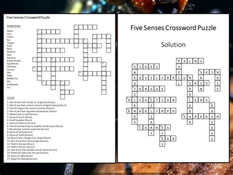 5 Essential Crossword Tackle Items