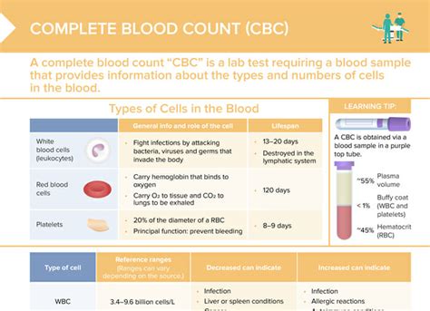 5 Essential Steps To Cbc Differential Interpretation