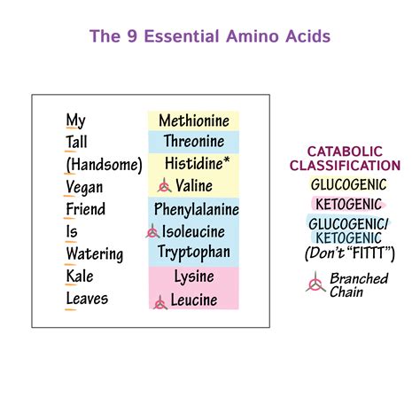 5 Essential Well Woman Mnemonic Screening Steps