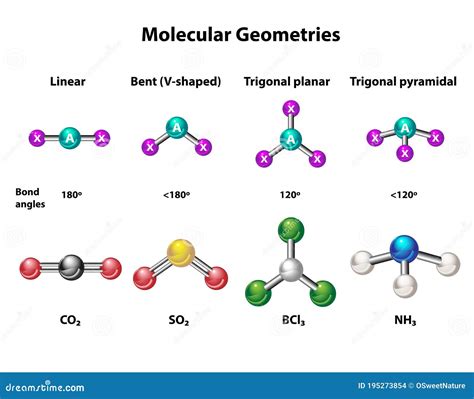 5 Facts About Molecules With Bent Geometry