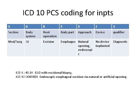 5 Icd 10 Codes For Urine Retention Explained