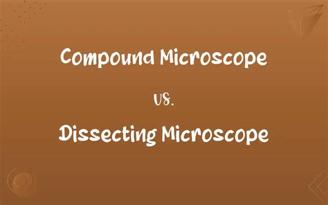 5 Key Differences: Dissecting Vs Compound Microscope