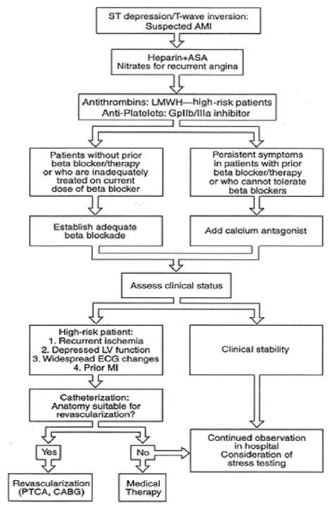 5 Ncp Guidelines On Myocardial Infarction