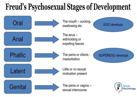 5 Stages Of Normal Sexual Development