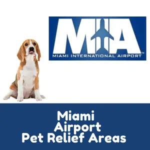 5 Tips For Pet Relief At Miami Airport