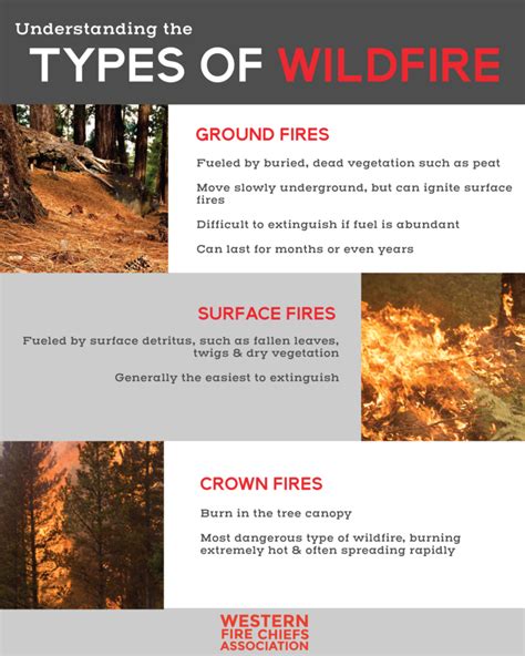 5 Types Of Wildfires Explained