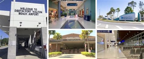 5 Ways Airport Vets In Destin Fl Can Assist You