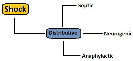 5 Ways Distributive Shock Occurs Quizlet