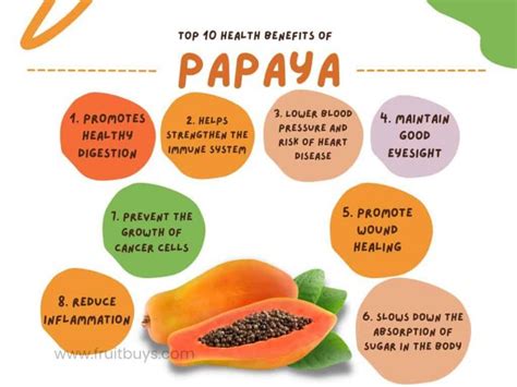 5 Ways Papaya Fruit Market Schaefer Boosts Your Health