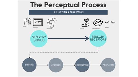 5 Ways Perceptual Adaptation Impacts Our Psychology