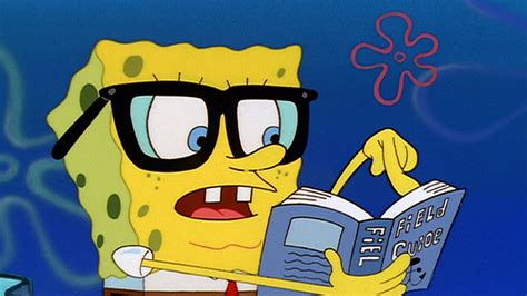 5 Ways Spongebob Squarepants Can Help You