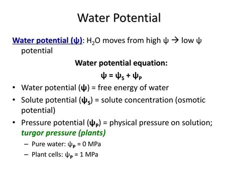 5 Ways To Calculate Water Potential