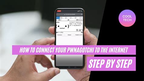 5 Ways To Enable Internet On Pwnagotchi