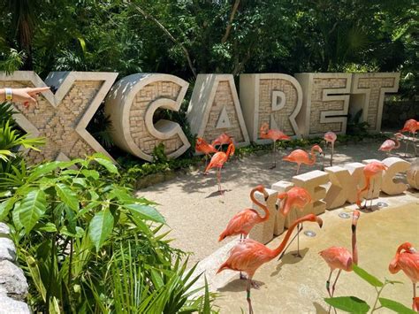 5 Ways To Get From Airport To Xcaret Mexico