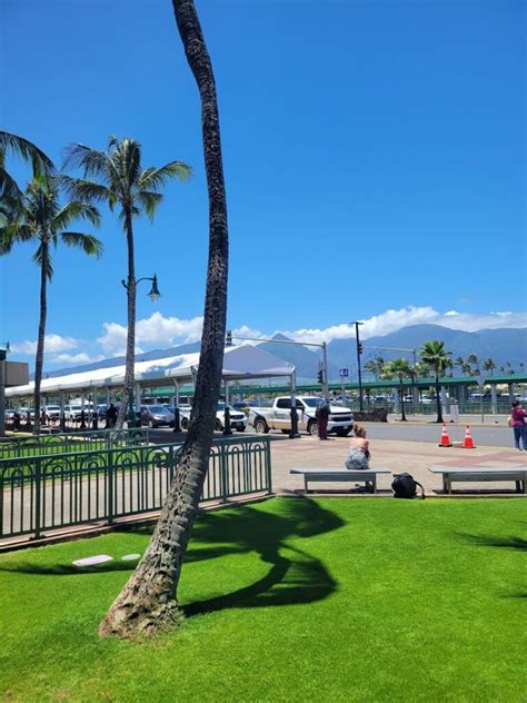 5 Ways To Get From Maui Airport To Wailea