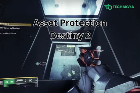 5 Ways To Master Asset Protection In Destiny 2