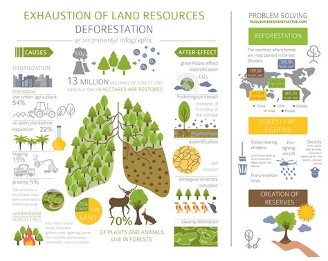 5 Ways To Simulate Deforestation And Reforestation