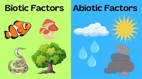 5 Ways Water Purifiers Impact Abiotic Factors