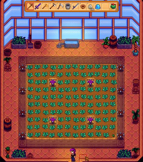 7 Efficient Stardew Valley Greenhouse Tree Layouts