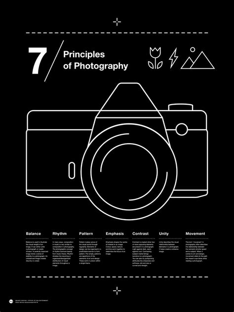 7 Essential Principles In Evidence Photography