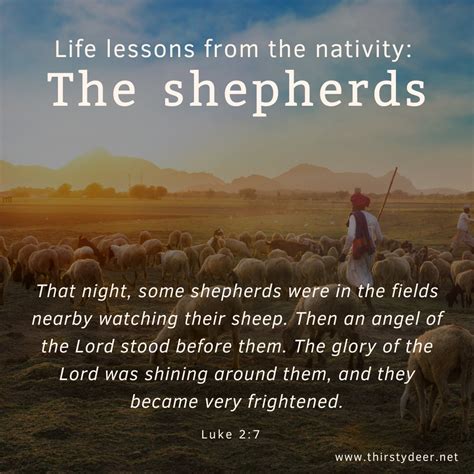 7 Leadership Lessons From The Way Of The Shepherd