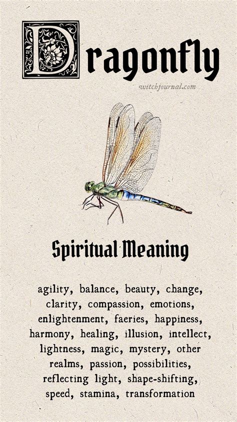 7 Spiritual Meanings Of Dragonfly