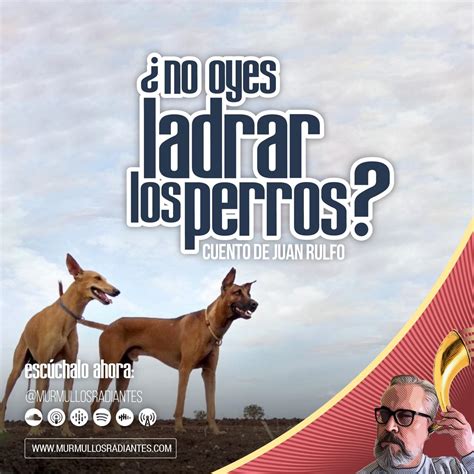 7 SíNtomas De No Oyes Ladrar Los Perros