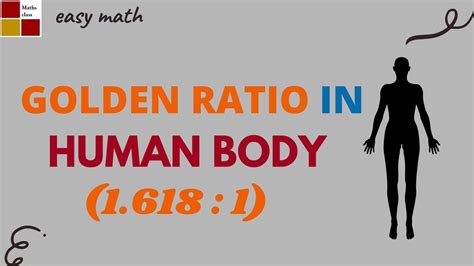 7 Ways Golden Ratio Appears In Human Body