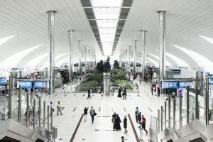 Airport Customer Experience Specialist: Expert Guide To Success