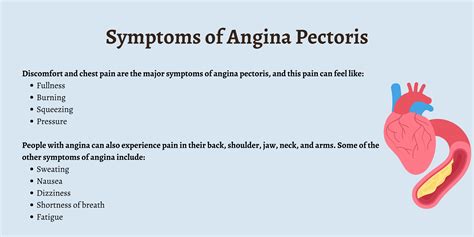 Angina Pectoris Occurs When: Causes And Symptoms Explained