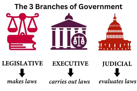 Ap Gov Judicial Terms Simplified