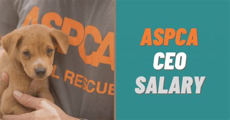 Aspca Executive Salaries Revealed: How Much Do They Earn