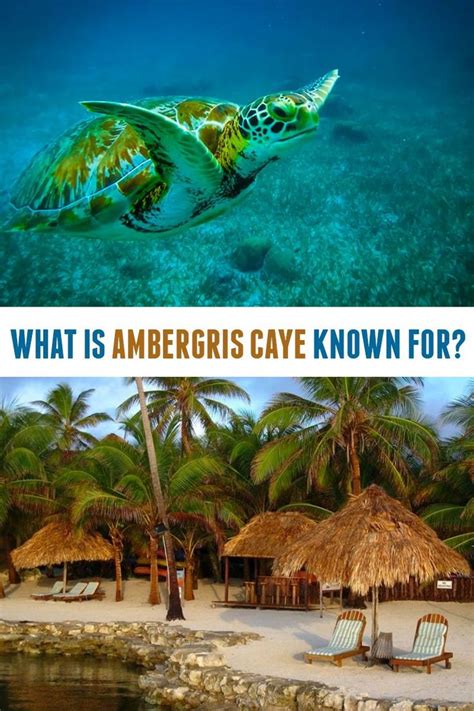 Belize Airport To Ambergris Caye: A Simple Travel Guide