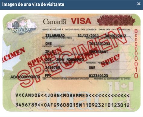 Canada Visa Imm 5475: A Step-By-Step Application Guide