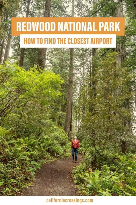 Closest Airport To Redwood Forest California Revealed