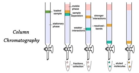 Column Chromatography Of Aldehydes: A Step-By-Step Guide