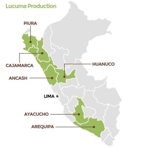 Conoce Las Regiones Productoras De Lucuma En Perú