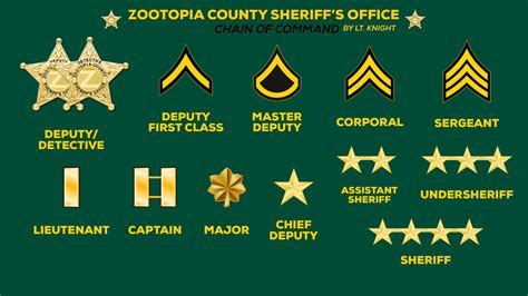 Cook County Sheriff Ranks And Salary Structure Explained