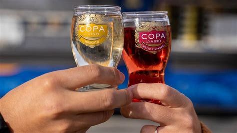 Copa Di Vino Founders Net Worth Revealed