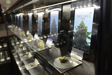 Denver Airport Dispensary Guide: Find The Nearest One