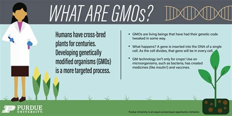 Do Gmos Have An Apostrophe