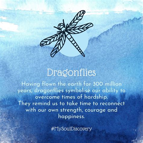 Dragonfly Symbolism And Meaning Revealed