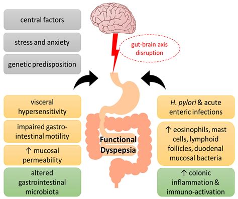 Early Satiety Icd 10: Causes And Diagnosis Explained