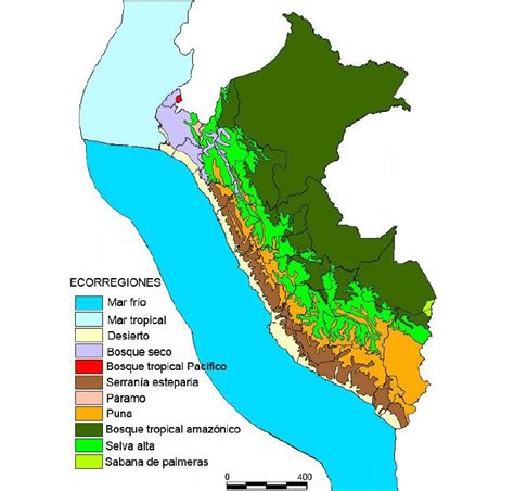 Ecorregiones Del Perú: Descubre Su Riqueza Natural