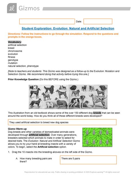 Evolution Gizmo Answer Key On Quizlet Made Easy